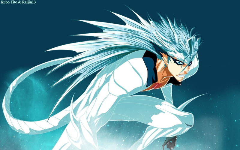 jaegerjaquez, 720P, espada, grimmjow, pantera, bleach