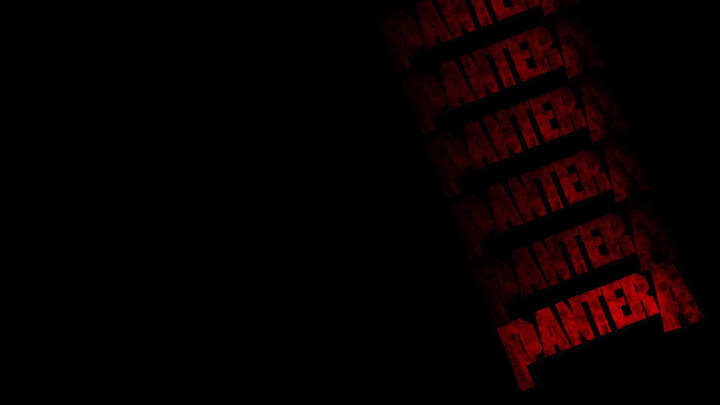 1080P, pantera