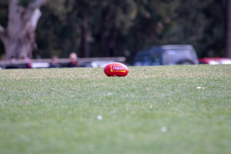 aussie rule, surface level, selective focus, plant, sphere, field, close-up, pitch, afl ball, incidental people, afl, footie, ball, 5K, game, football