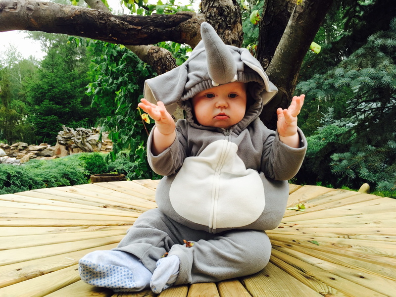 small child, girls, casual clothing, childhood, leisure activity, women, footie, kid, photo, cute, summer, beautiful, boy, kids, hoodie, pajama, sunny