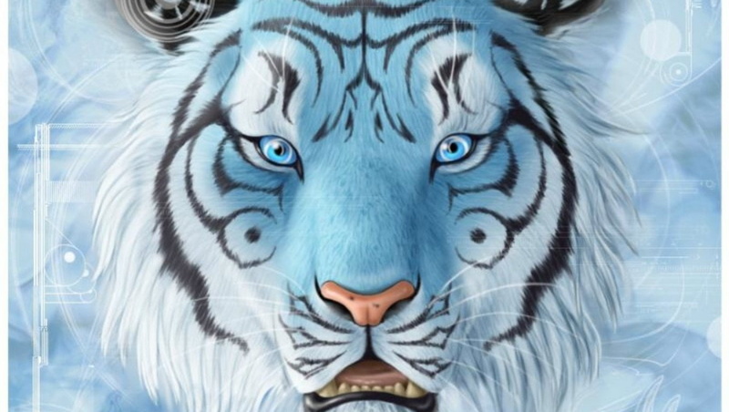 close-up, portrait, animal, looking at camera, mammal, animal body part, animal wildlife, nature, Fantasy Animals, front view, digital composite, cat, animal themes