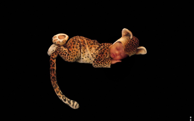 leopard, beautiful, 3d and abstract, baby, 1080P, digital, abstract