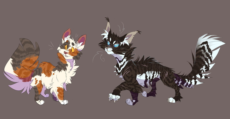 two friends, cats, funny cats, 2K, rascals, meow, sorreltail and hawkfrost