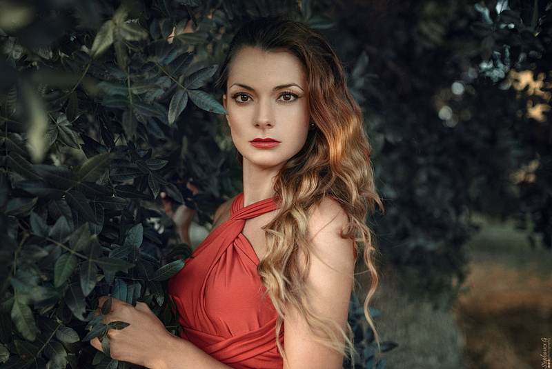 tree, fashion, beautiful woman, photography, dark, beauty, women, teenager, Stephanos G, glamour, hairstyle, outdoors, dress, beautiful people, forest