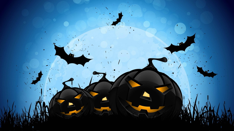 animal themes, graphics, blue, pumpkins, jack o lantern, silhouette, nature, animal wildlife, outdoors, darkness, halloween, animals in the wild, yellow