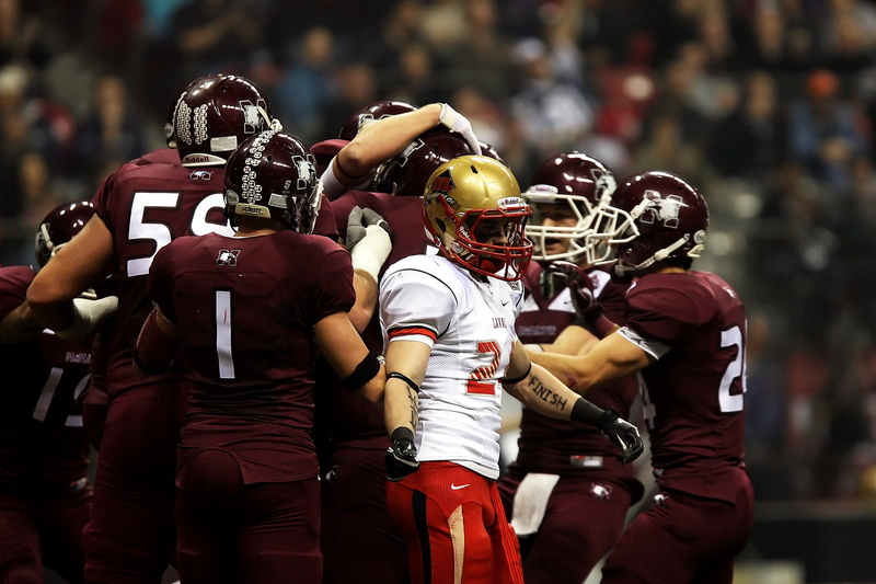 dejected, stadium, football american, championship, sport, happy, american football, play, football, adult, score, touchdown, american football player