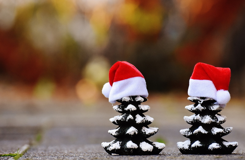 holiday, winter, nature, snow, pine, chess, funny, close-up, tree, wearing, two, trees, decoration, food, celebration, santa, contemplative, small, claus