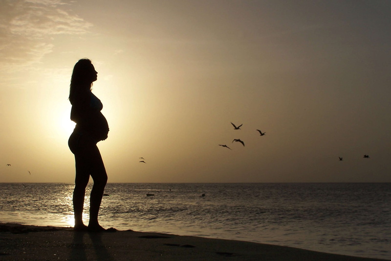 animals in the wild, family, bird, pregnant, maternity, sea, beach, beauty in nature, sky, sunset, sun, new, nature, dawn, 4K, pregnancy, vertebrate, baby