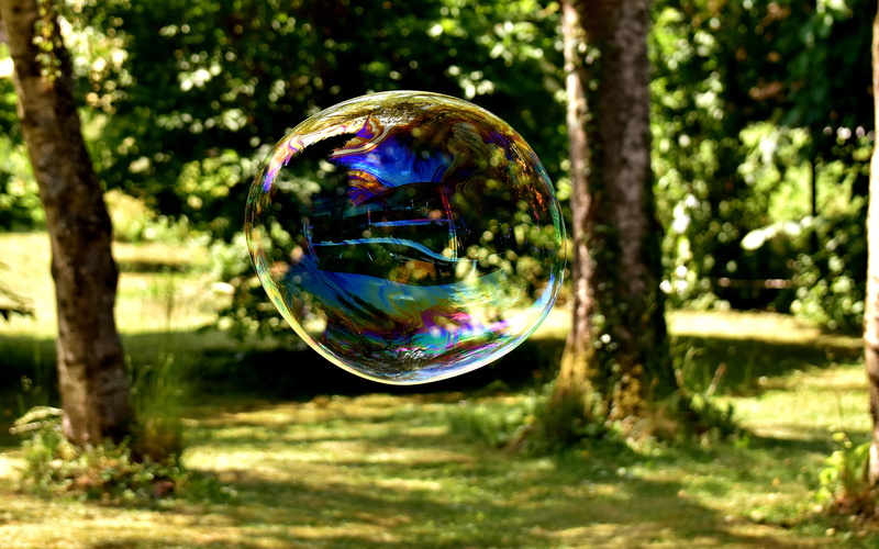 mid-air, 5K, sunlight, iridescent, soapy water, near, beauty in nature, colorful, make soap bubbles, large, nature, reflection, spectrum, outdoors, plant