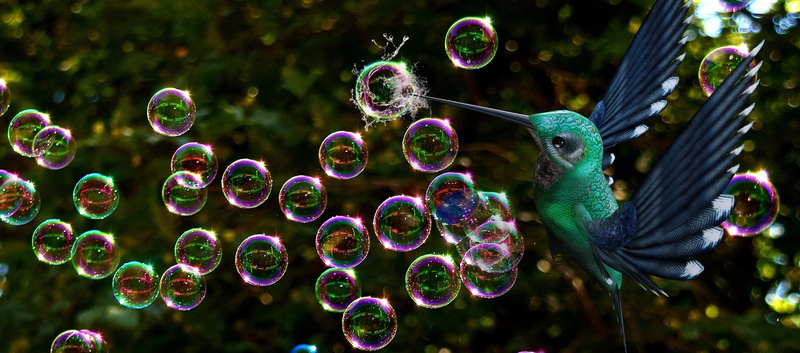 fragility, lightweight, mid-air, outdoors, vulnerability, close-up, bubble wand, nature, growth, no people, hummingbird, transparent, 2K, day, soap bubbles