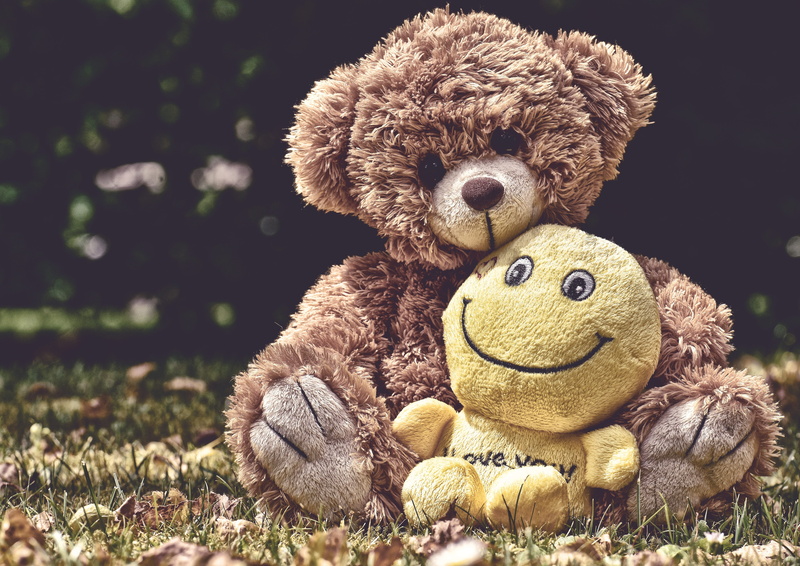 toy, children, stuffed toy, smiley, cute, childhood, teddy, 5K, still life, teddy bear, representation, animal wildlife, love, brown, field, mammal, softness