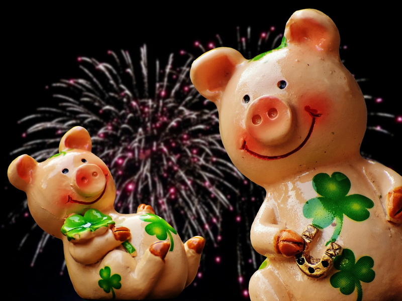 new years eve, decoration, toy, creativity, cute, piglet, indoors, 1080P, sweet food, luck, mammal, funny, lucky charm, focus on foreground, representation