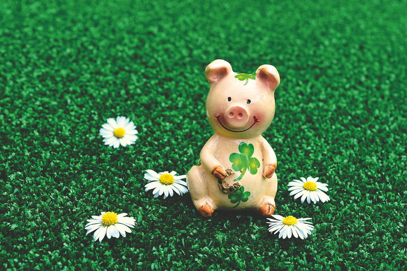 luck, piglet, good luck, grass, representation, field, toy, green color, animal representation, flower head, plant, clover, no people, high angle view