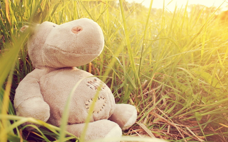 toys, stuffed animal, 1080P, grass