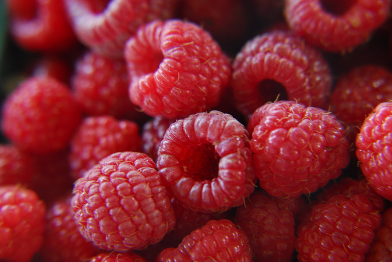 dessert, red raspberry, sweet Food, gourmet, berry Fruit, Fresh raspberries, refreshment, nature, fruit, food, red, organic, D200, raspberry, 4K, pile