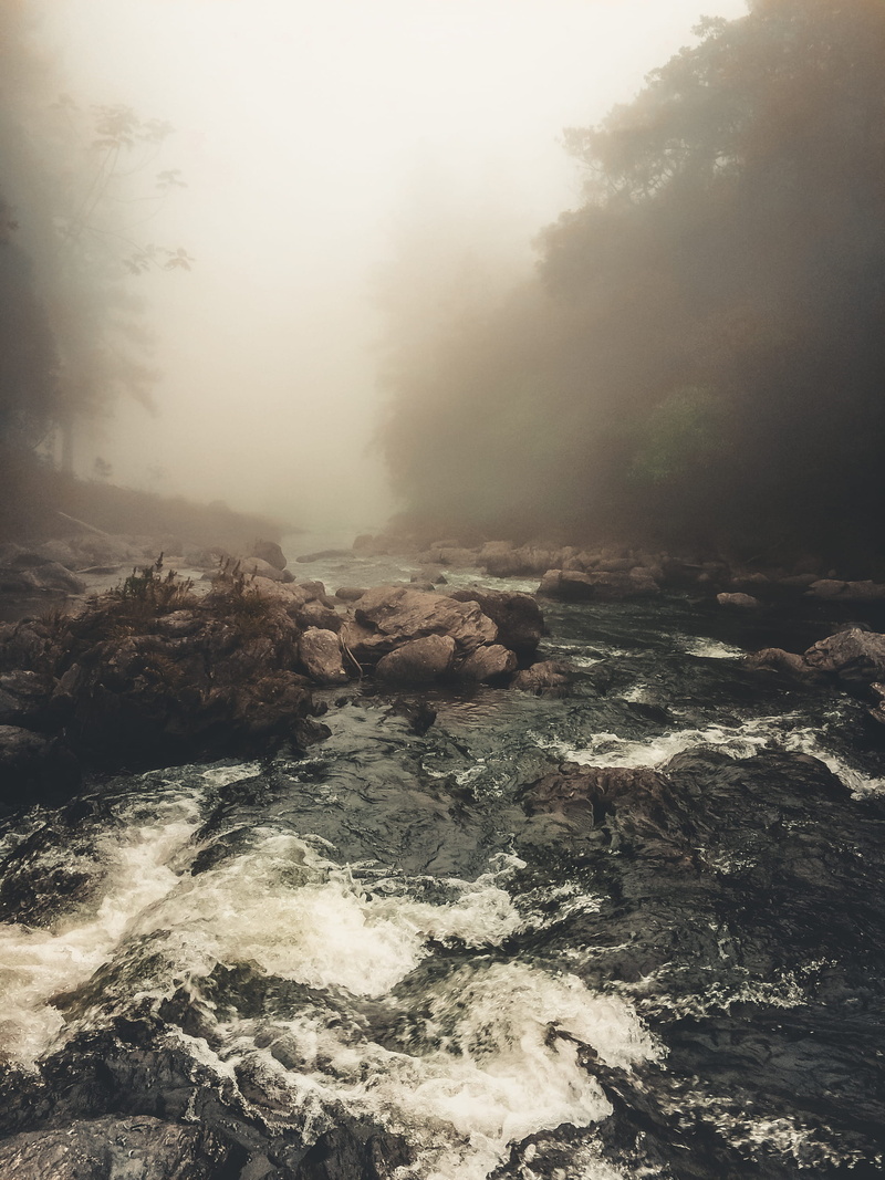 iphone, motion, saopaulo, power in nature, sitiodojamil, tranquility, forest, tree, fog, land, 2K, riomonos, nature, environment, day, tranquil scene
