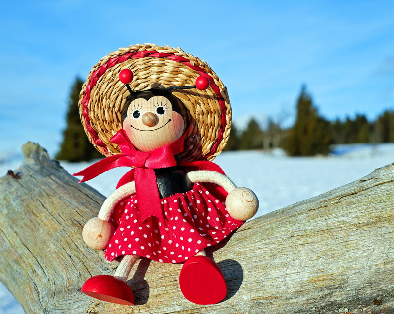 art and craft, lucky ladybug, focus on foreground, driftwood, gaudy, representation, close-up, ladybug, wood, sweet, red, sun, cold temperature, funny