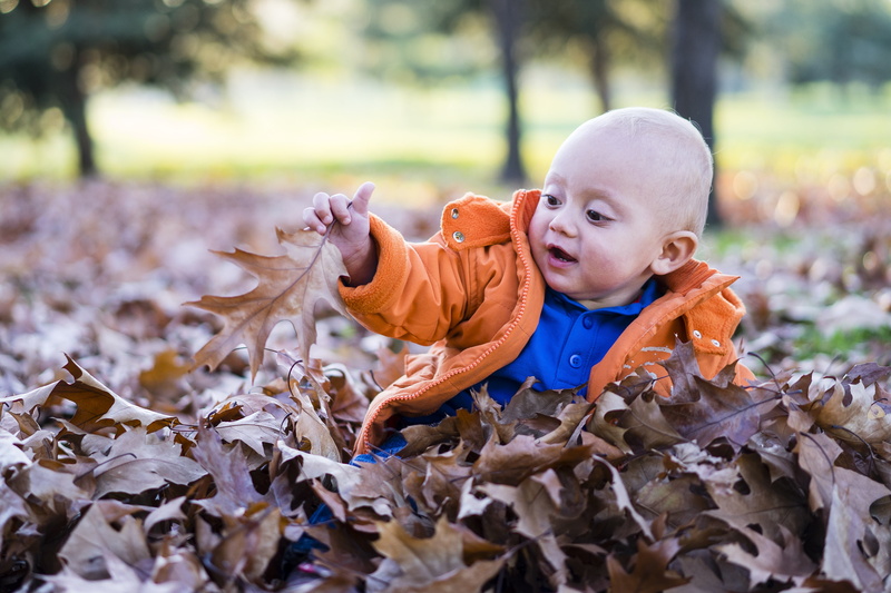 small, boy, portrait, dry leaves, front view, babyhood, day, leaf, foliage, jacket, leaves, autumn, people, playing, change, nature, child, baby, 2K, young