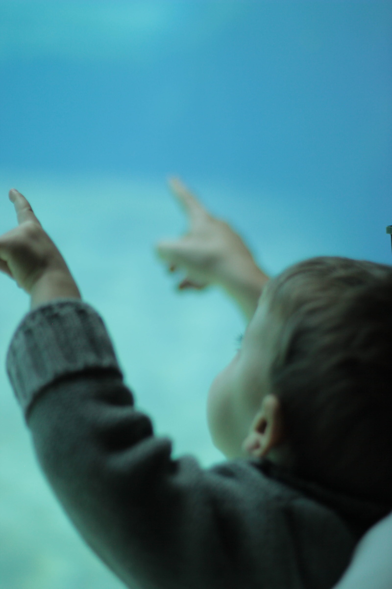 pointing, headshot, human hand, hand, real people, curious, body part, blue, human arm, selective focus, 5K, one person, young, kid, males, men, childhood