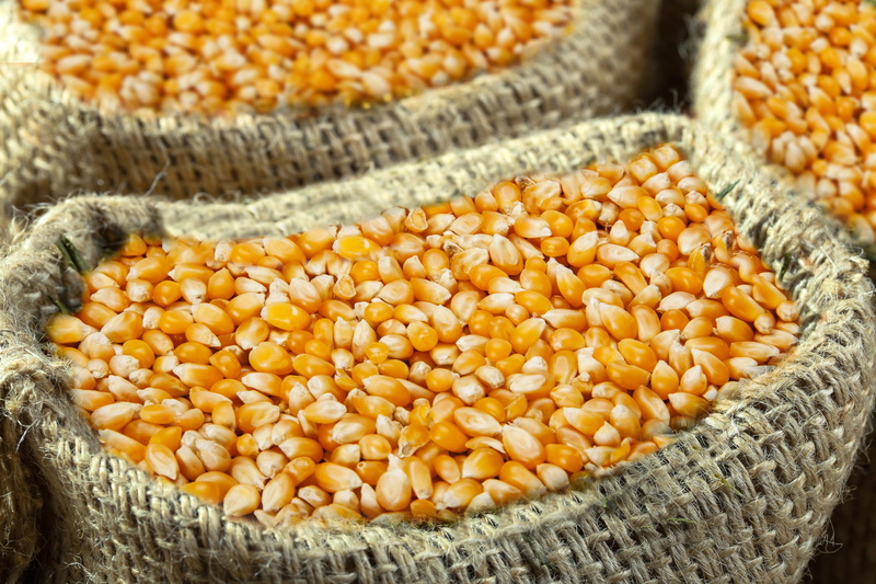agriculture, crop, food and drink, seed, backgrounds, sweetcorn, indoors, but, focus on foreground, food, container, choice, dry, yellow, wood - material