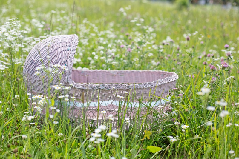 outdoors, white, tranquility, daytime, field, selective focus, wicker, meadow, summer, purple, freshness, baby, plain, no people, wild flowers, springtime