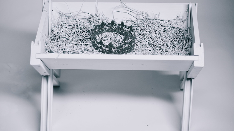 crib, potted plant, no people, window, glass - material, photo, metal, close-up, pattern, nature, folding, container, day, reflection, cot, indoors, food and drink