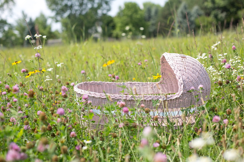 spring, land, landscape, baby bassinet, flower, flowers, freshness, meadow, no people, 5K, selective focus, basket, beauty in nature, springtime, nature