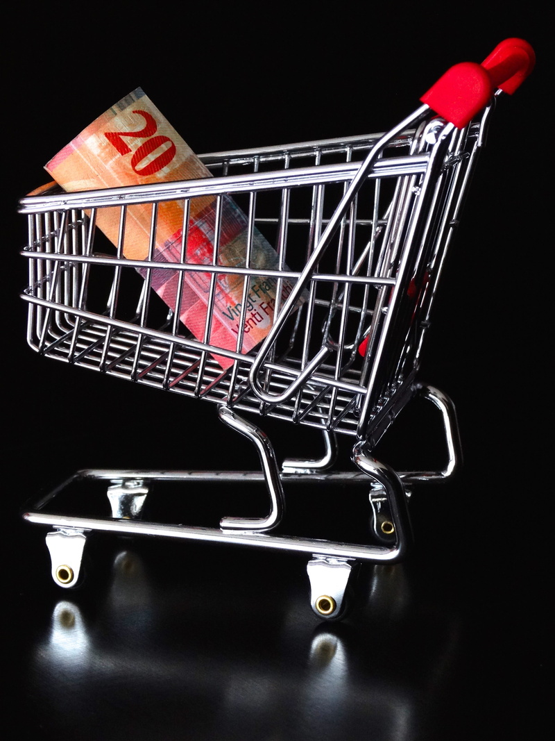 shiny, basket, Dare, studio shot, no people, metal, Money Note, indoors, still life, purchasing, Money, clean, buying, consumerism, black color, red, push cart