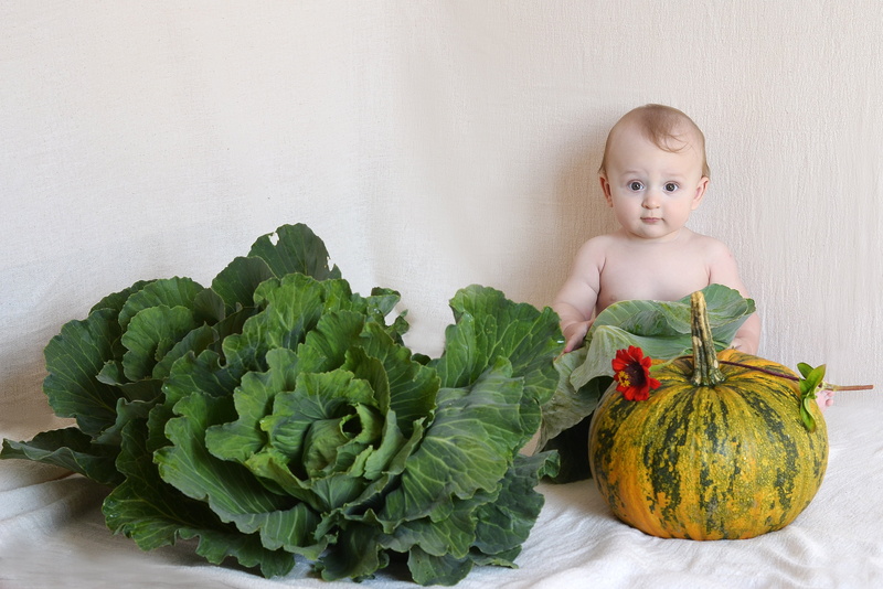leaf, halloween, food and drink, green color, 4K, pumpkin, cute, front, indoors, portrait, front view, cabbage, freshness, healthy eating, kids, kid, child in cabbage