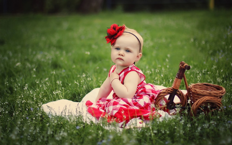 princess, pink, girls, plant, girl, s, flowering plant, 720P, innocence, real people, sitting, Baby, toddler, young, nature, one person, field, childhood