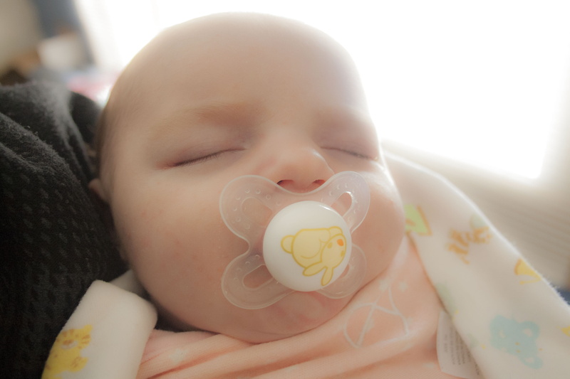 pacifier, childhood, colfax, portrait, eyes closed, daughter, real people, 4K, close-up, one person, innocence, united states, child, headshot, cute, young