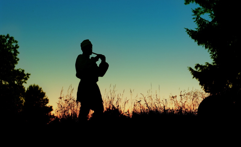 sky, leisure activity, one person, sunset, field, standing, nature, plant, three quarter length, silhouette flowers, 2K, lifestyles, land, dudochka, musician
