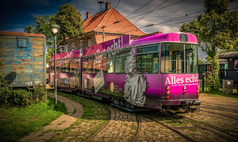 pink color, electric, public, plant, outdoors, day, road, architecture, pink, land vehicle, vehicle, old, train - vehicle, 5K, nature, public transportation