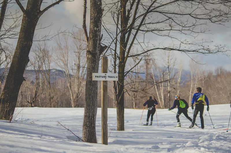 nature, land, forest, outdoors, lifestyles, field, united states, plant, pasture, snowshoe, real people, leisure activity, crosscountry skiing, whitaker woods
