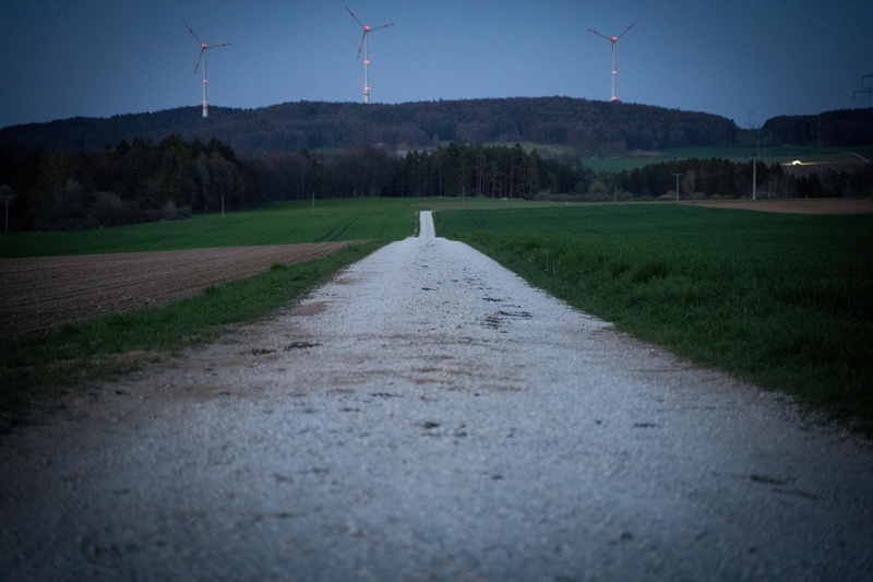 light, meadow, trees, outdoors, no people, 5K, land, tranquility, scenics - nature, grass, tranquil scene, road, field, gravel road, sunset, abendstimmung