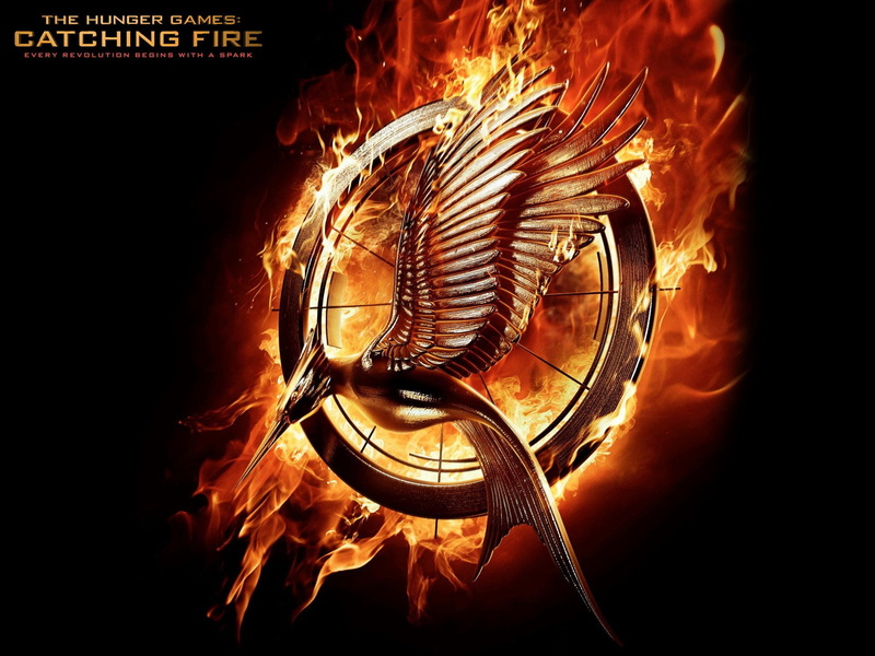 burning, indoors, flame, arts culture and entertainment, 1080P, close-up, no people, The Hunger Games: Catching Fire, glowing, fire, communication