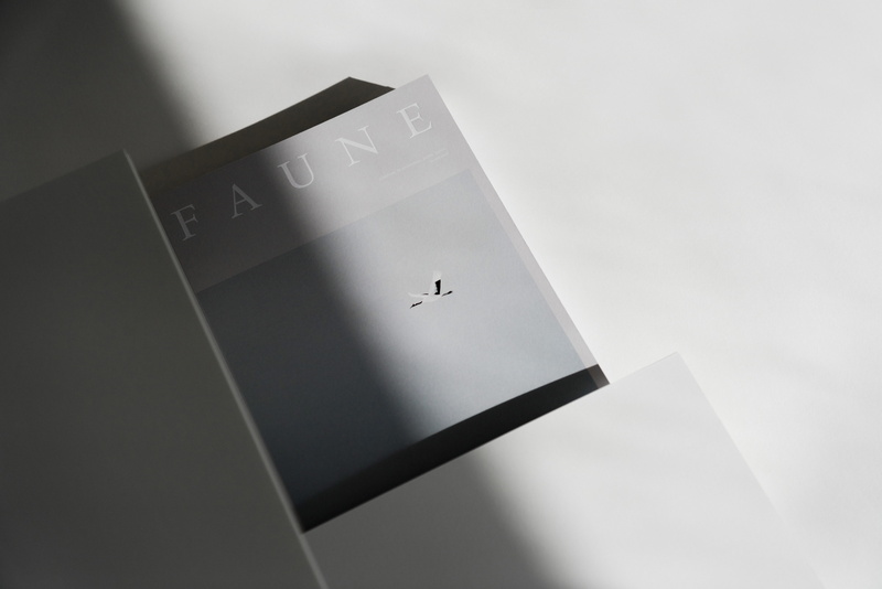 wall - building feature, electronics, creativity, wooden, nature, simplicity, file folder, high angle view, black, shirt, minimalism, studio shot, still life