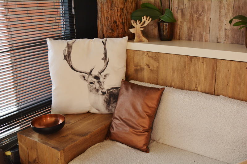 apartment, animal, gray, cushion, sofa, home interior, day, domestic room, nature, architecture, still life, house, chair, 5K, design, interior design
