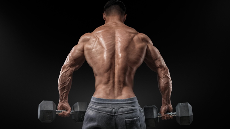 4K, men, sport, muscular