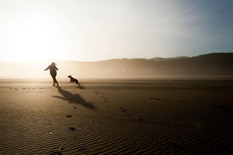 people, field, relationship, beach, happy, chase, mans best friend, nature, pet, women, adult, sand, two people, sky, lifestyles, water, silhouette, friendship