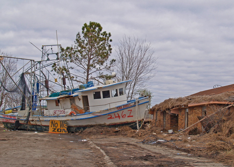 gabe raggio, day, tree, no people, storm, mode of transportation, boat, water, plant, fishing industry, industry, 2K, raggio, tourism, outdoors, bare tree