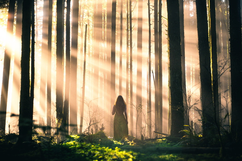 Sleepwalking, trees, girl, Lizzy Gadd, 1080P, rays, forest