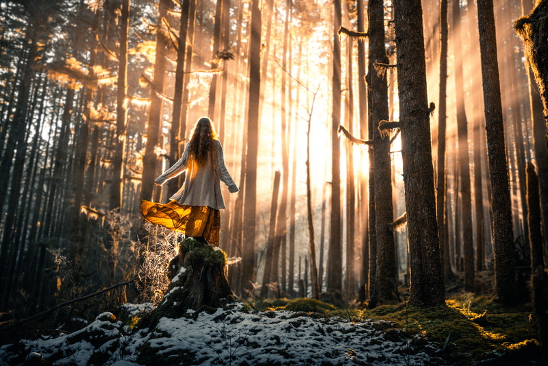1080P, the sun, forest, snow, girl, Lizzy Gadd