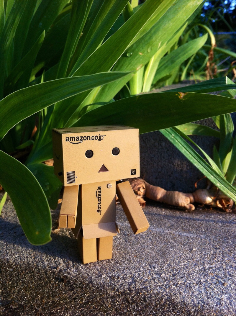 human representation, sunlight, iris leaves, caldwell, danbo, plant, creativity, communication, shadows, iris, art and craft, close-up, leaf, birdhouse