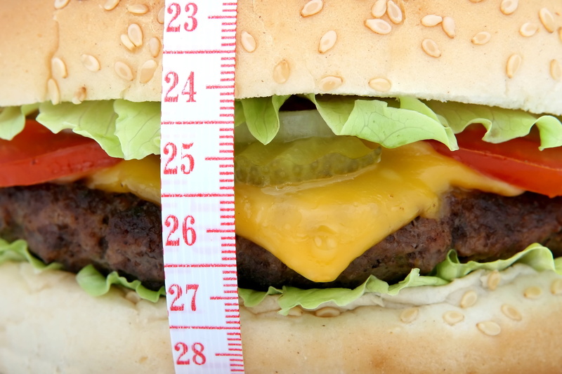 salad, close-up, fast, delicious, weight, lunch, healthy, cooking, cheeseburger, hamburger, weightloss, mayonnaise, indoors, loaded, white, dish, bread