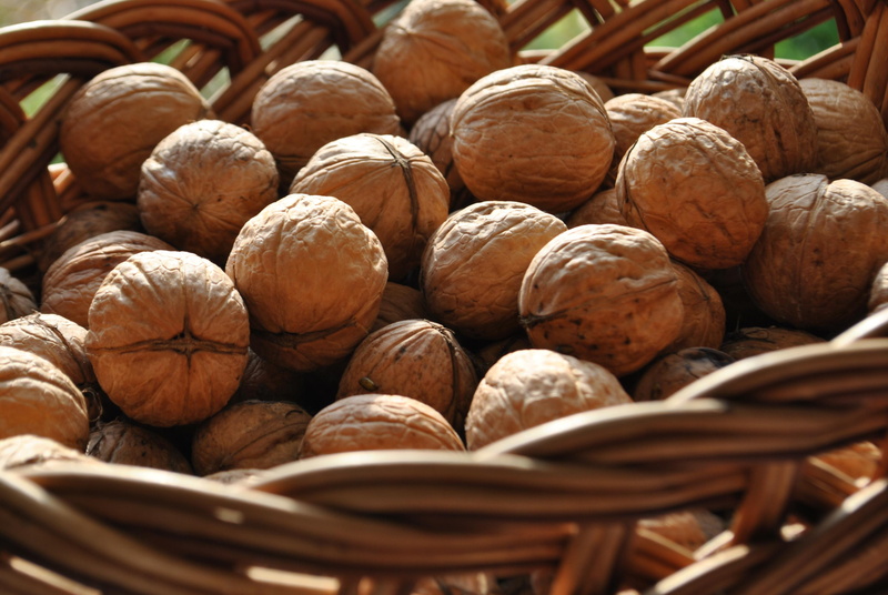 4K, walnuts, basket, brown, nuts