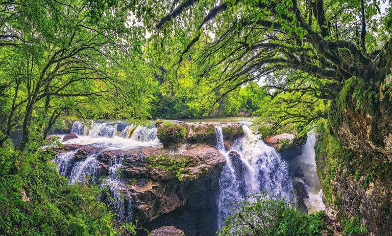 no people, woodland, solid, flowing water, 1080P, growth, rock, power in nature, beauty in nature, scenics - nature, forest, green, flowing, brown, outdoors