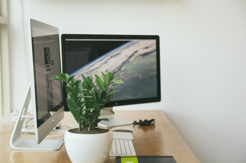 food, imac, keyboard, simplicity, mac, potted plant, designer, silver, flower pot, apple, lancer, lance, television set, food and drink, fresh, workspace