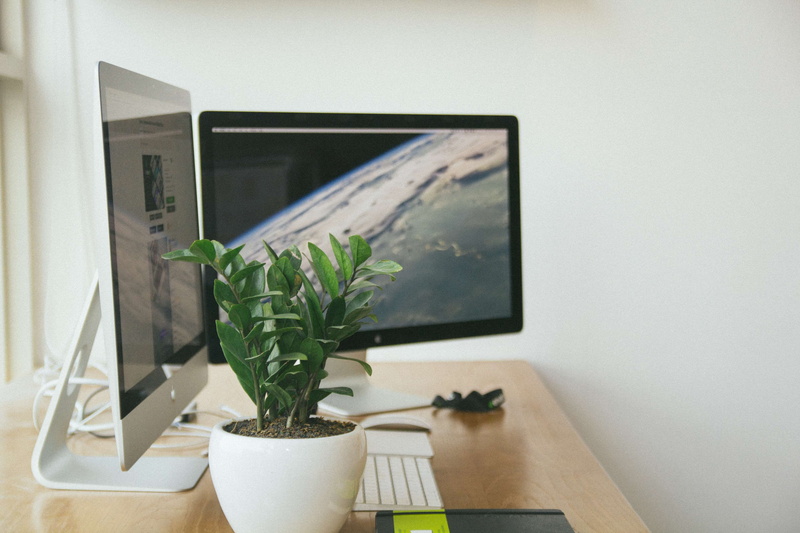 home interior, day, domestic room, 4K, keyboard, workspace, houseplant, wall - building feature, lance, flower pot, nature, growth, setup, imac, monitors