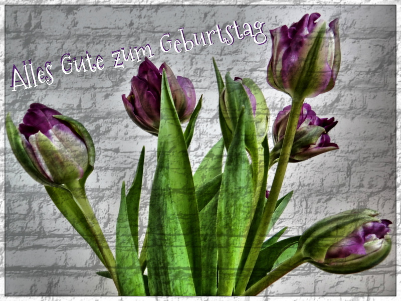 tulips, plant part, no people, birthday, plant, green color, food and drink, flower head, healthy eating, happy birthday, text, gift, still life, food